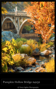 Pumpkin Hollow Bridge – photograph by Terry Ogden