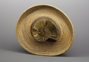 The Ammonite – artwork by Toni Best