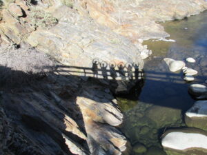 Shadow on the Bridge – photograph by Elaine Anderson